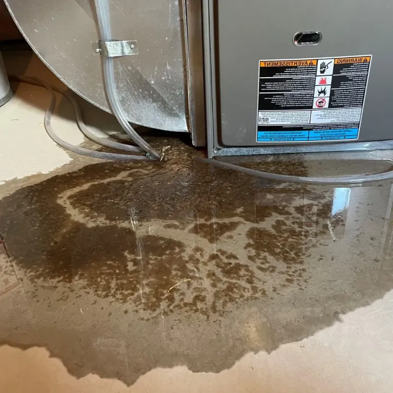 Pipe Burst and Leak Restoration in Catawissa, PA